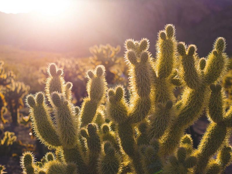 Pilar Montes Puerto Plata